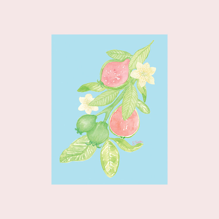 Guayaba Gardens Fine Art Print