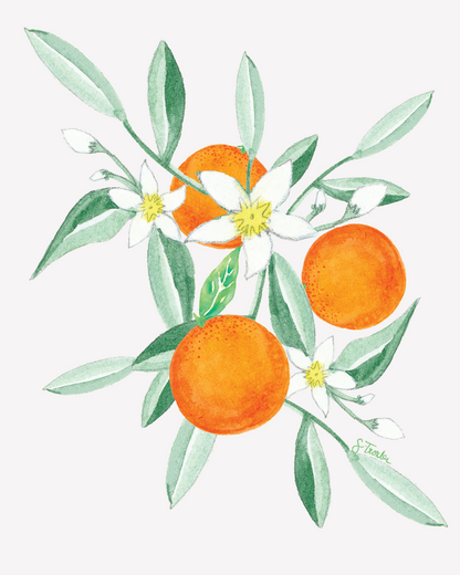 Florida Citrus Fine Art Print